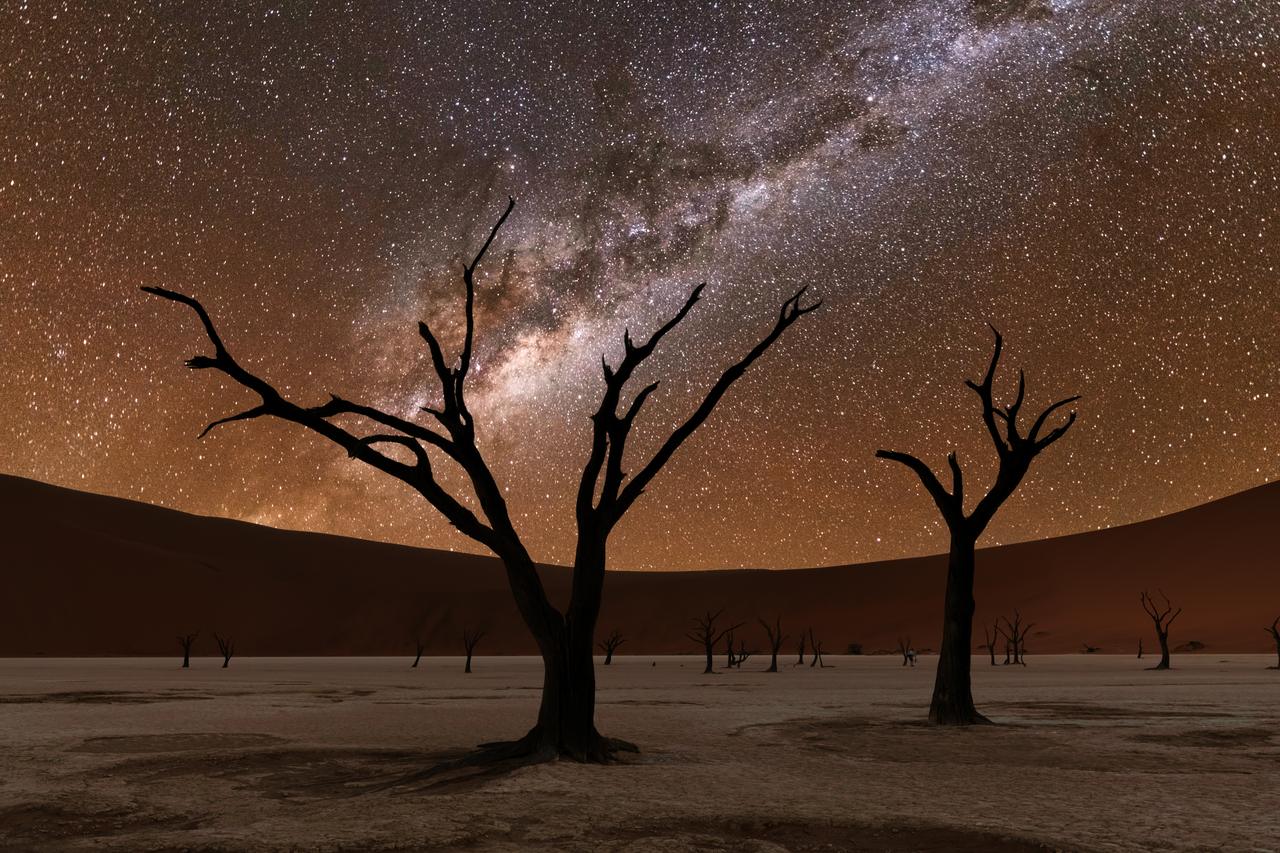 The Milky Way over the dead trees of Deadvlei, Namibia